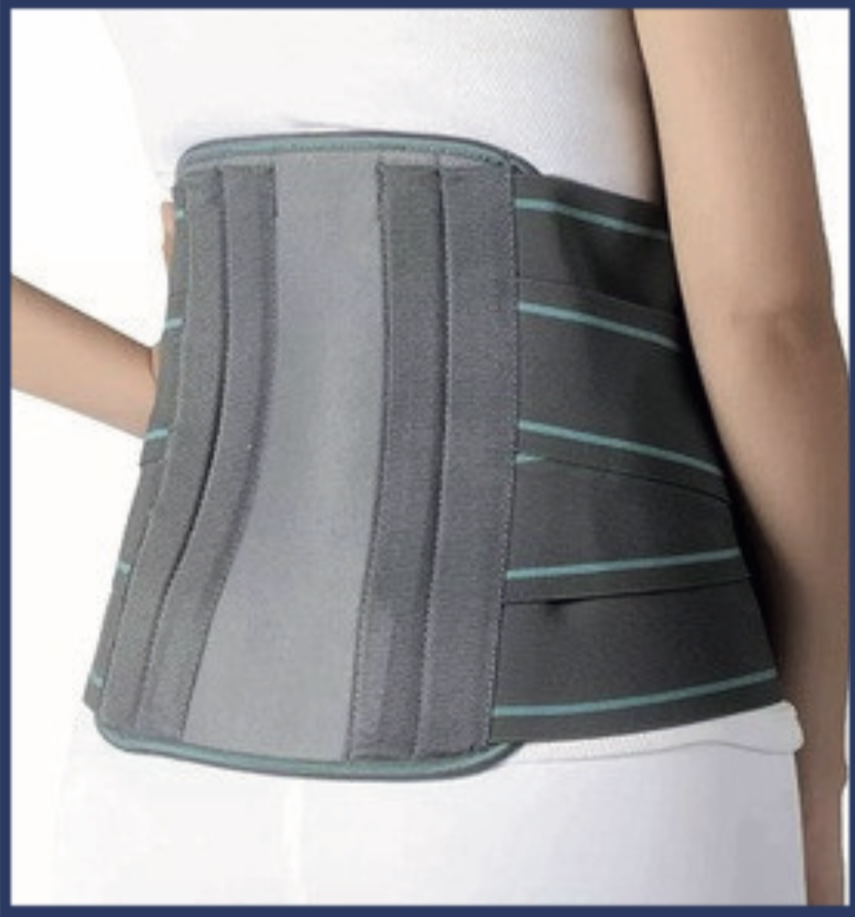 Contoured LS belt